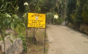 BADO Baghmara